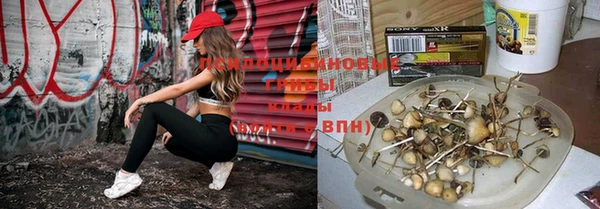 амф Алексеевка