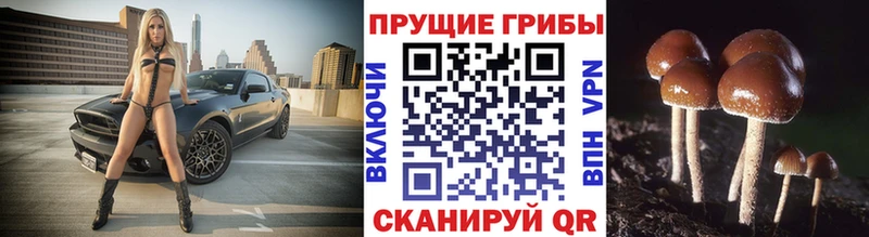 Галлюциногенные грибы мухоморы  сайты даркнета состав  Павловская  магазин продажи наркотиков 